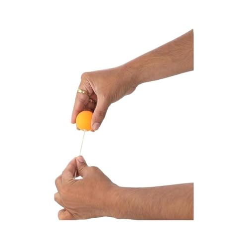 Wooden Table Tennis Trainer