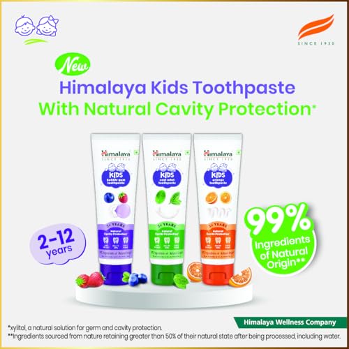 Himalaya Kids Bubble Gum Toothpaste, 80g x Pack of 2 | 2 to 12 Years | Natural solution for germ and cavity protection | 99% Natural Origin Ingredients - Image 2