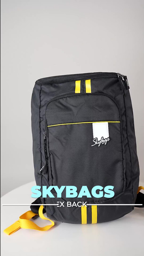 SKYBAGS Small 18 L Laptop