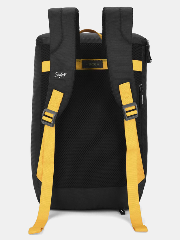 SKYBAGS Small 18 L Laptop