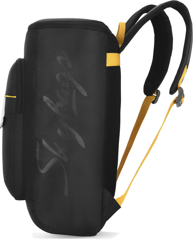 SKYBAGS Small 18 L Laptop