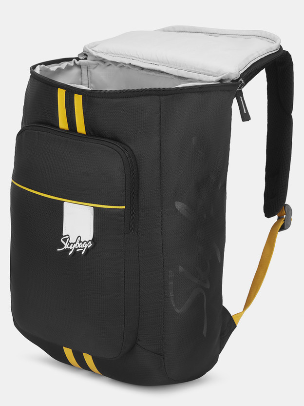 SKYBAGS Small 18 L Laptop