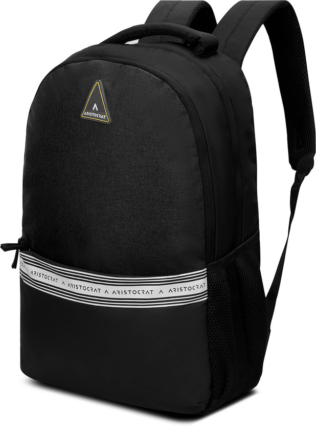 SKYBAGS Small 18 L Laptop