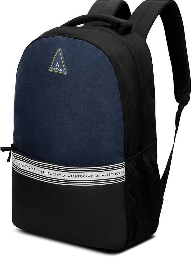 SKYBAGS Small 18 L Laptop