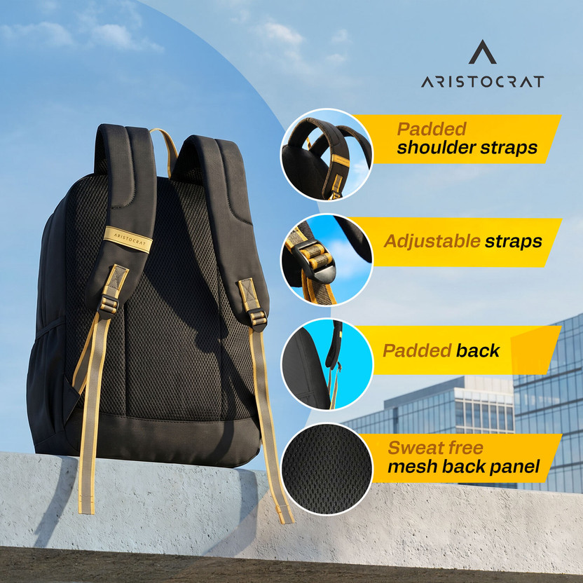 ARISTOCRAT Medium 25 L Laptop