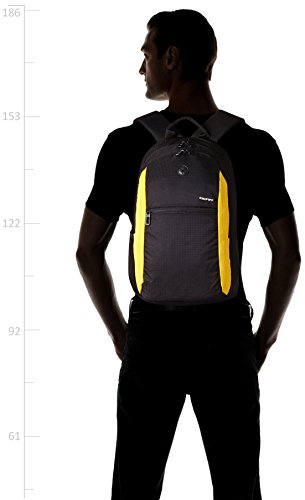 Gear Basic 47 cms Sport Black Casual Backpack (BKPECONO10112) - Image 7