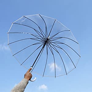 Transparent Umbrella | Durable Wind-Resistant