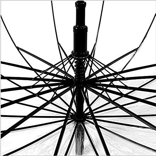 Transparent Umbrella | Durable Wind-Resistant