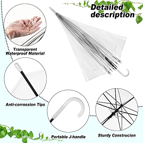 Transparent Umbrella | Durable Wind-Resistant