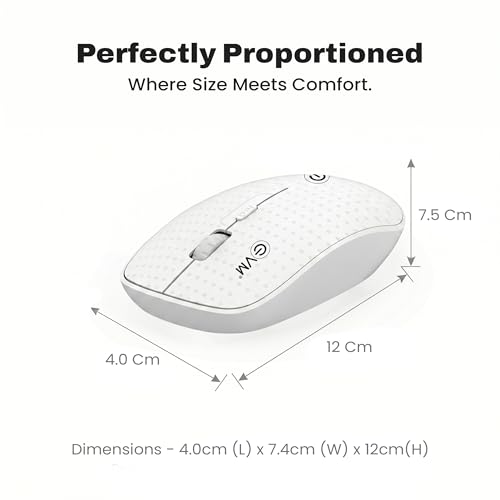 EVM Wireless Mouse 2.4GHz