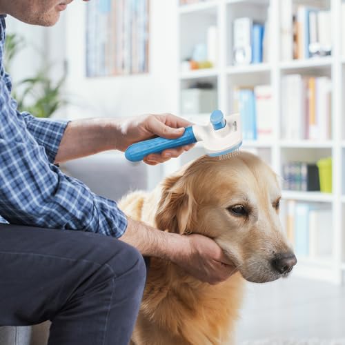Amazon Basics Self Cleaning Slicker
