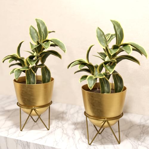 Lifelong Metal Set of 2