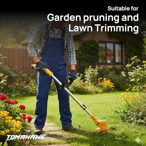 Tomahawk TCBC-12 12V Cordless Brush