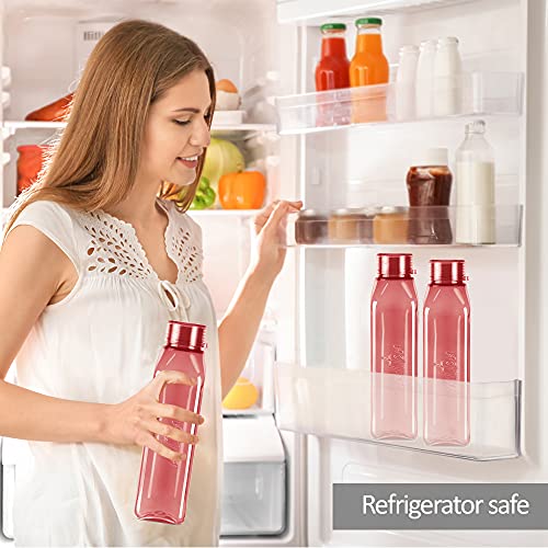 MILTON Prime 1000 Water Bottle