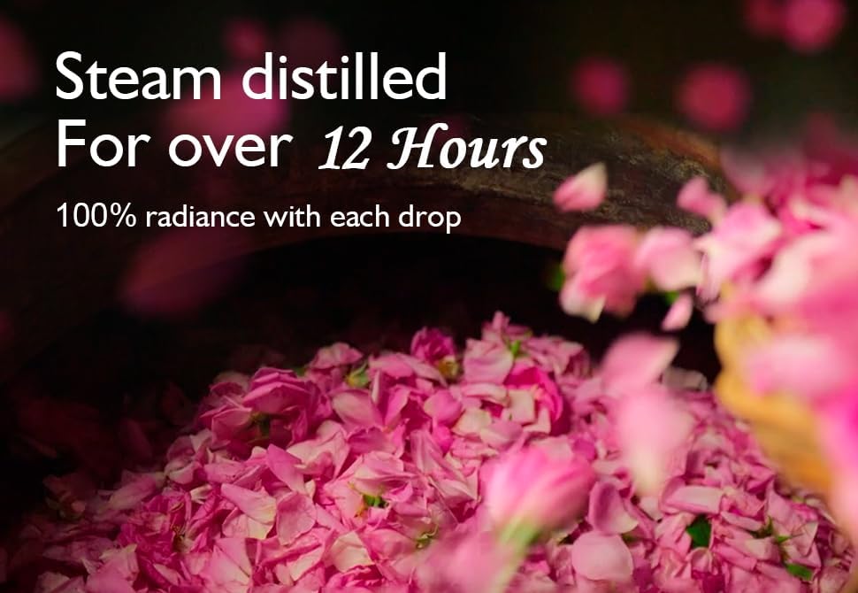 Dabur Gulabari Premium Rose Water