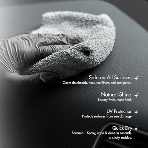 Nippon Paint Car Interior Cleaner