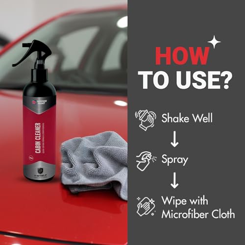 Nippon Paint Car Interior Cleaner