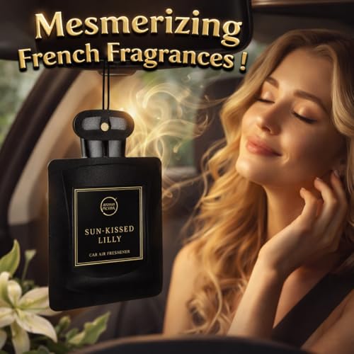 Aroma Car Perfume Hanging Car