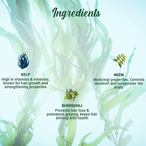 Biotique Ocean Kelp Anti Hairfall