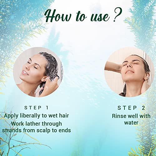 Biotique Ocean Kelp Anti Hairfall