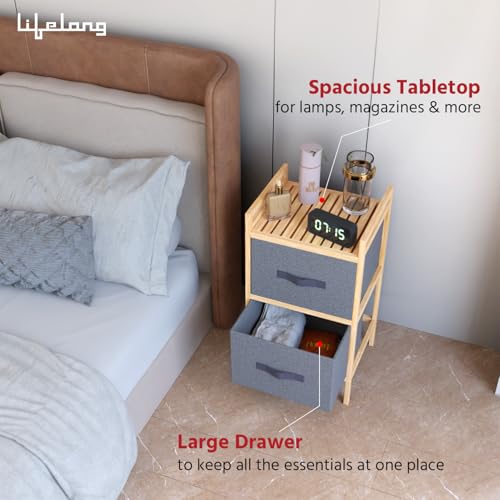 Lifelong 2-Drawer Fabric Storage Organizer