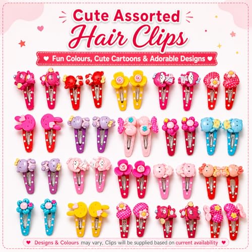 Multi Design Clip with Storage