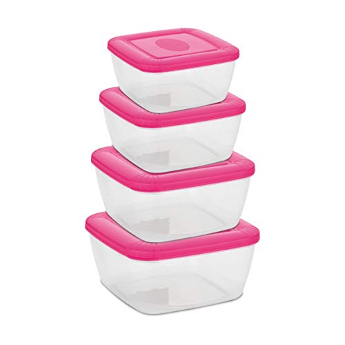 Asian Plastowares Plastic Flora Container