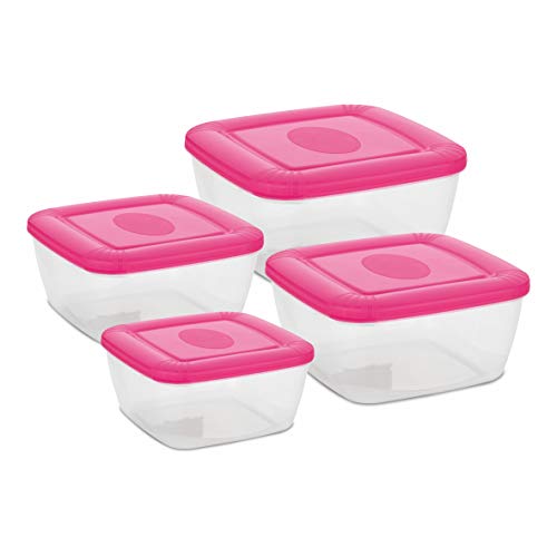 Asian Plastowares Plastic Flora Container