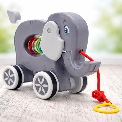Storio Pull Along Toy