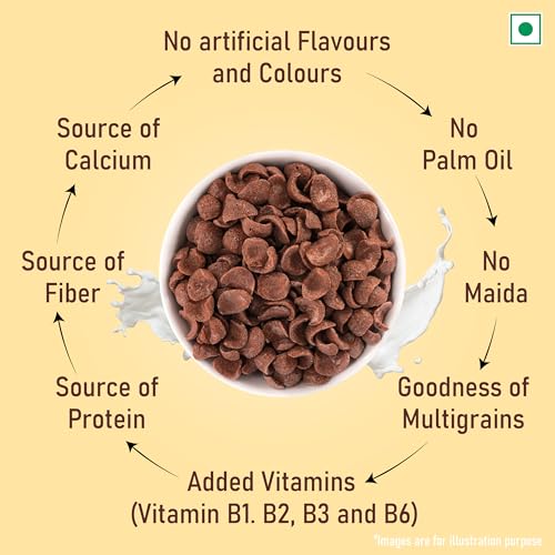 Kwality Choco Flakes 375g