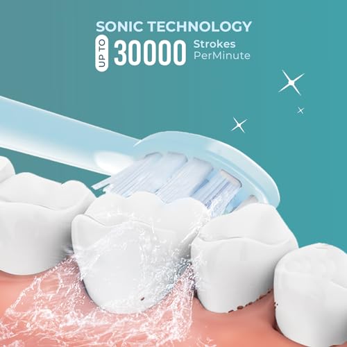 beatXP Vista Sonic Electric Toothbrush