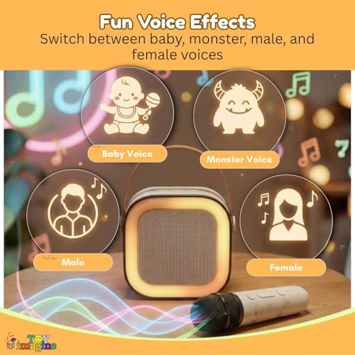 Toy Imagine Rechargeable Karaoke Mic