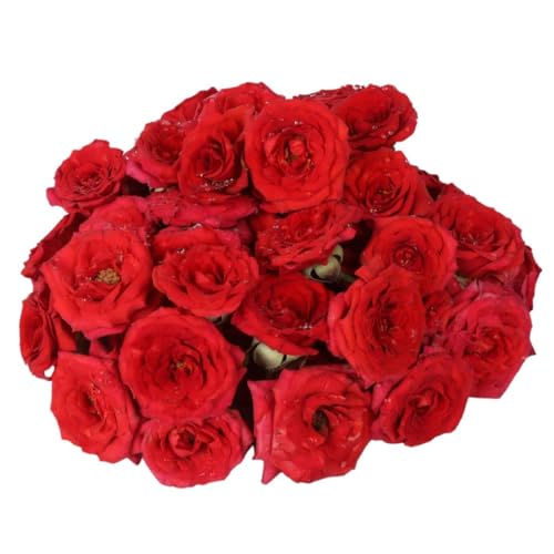 Fresh Assorted Roses (Button Roses), 100g - Image 2