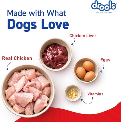 Drools Adult Wet Dog Food