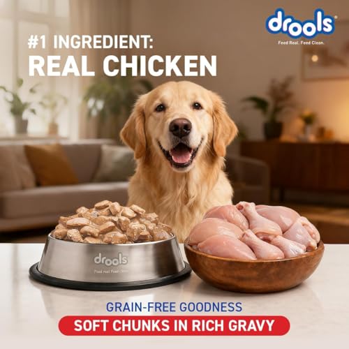 Drools Adult Wet Dog Food