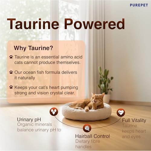 Purepet Adult Dry Cat Food