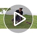 Portable Compact Folding Chair