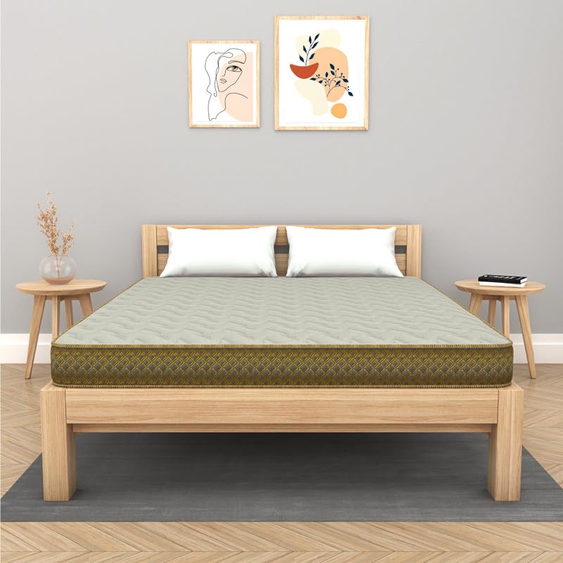 Centuary Mattress Softopedic 2.0 Best