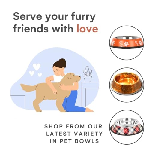 Madhabi Stainless Steel Pet Bowl
