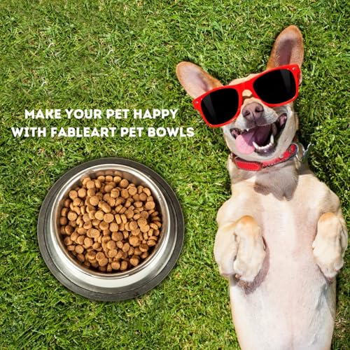 Madhabi Stainless Steel Pet Bowl