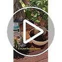 Ugaoo Organic Vermicompost for Plants