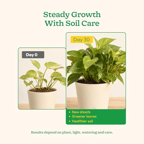 Ugaoo Organic Vermicompost for Plants