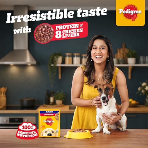 Pedigree Adult Wet Dog Food