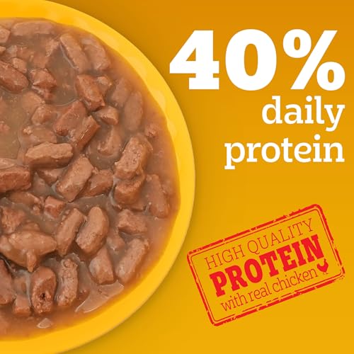 Pedigree Adult Wet Dog Food