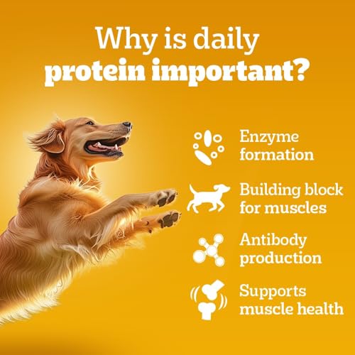 Pedigree Adult Wet Dog Food