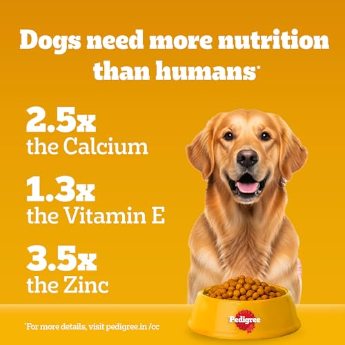 Pedigree Adult Dry Dog Food
