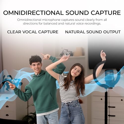 Digitek DWM-010 Mic Wireless