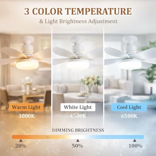 Gesto Portable Ceiling Fan