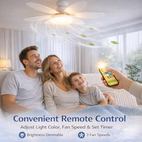 Gesto Portable Ceiling Fan