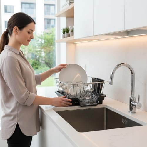 Premium Stainless Steel Dish Rack